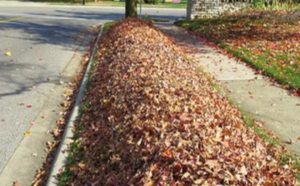 leaf pickup amherst ohio